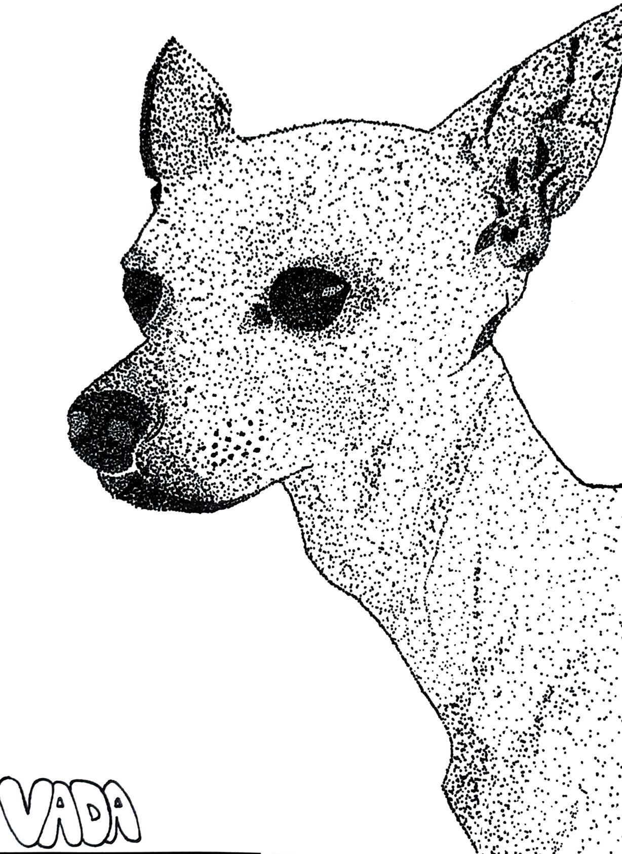 ‘Rue the Dog’